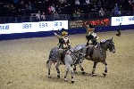 Quadrille - 00775
